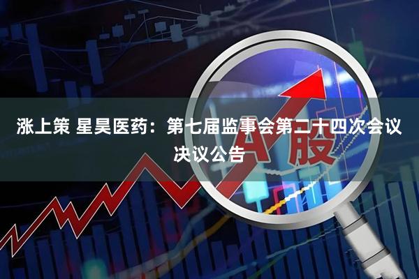 涨上策 星昊医药：第七届监事会第二十四次会议决议公告