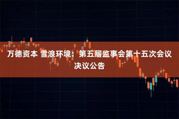 万德资本 雪浪环境：第五届监事会第十五次会议决议公告