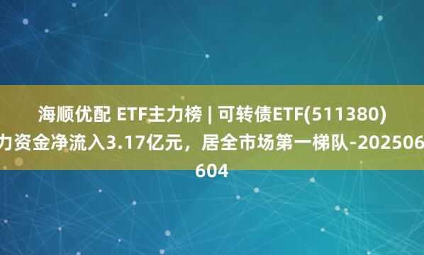海顺优配 ETF主力榜 | 可转债ETF(511380)主力资金净流入3.17亿元，居全市场第一梯队-20250604