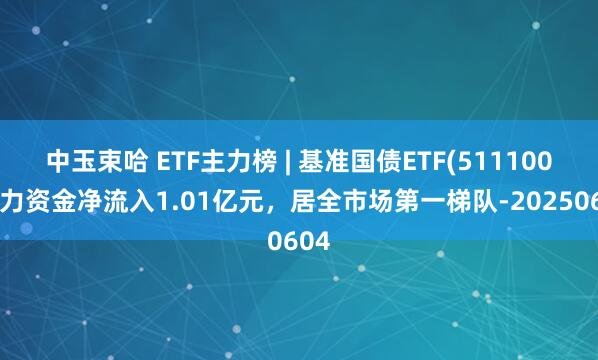 中玉束哈 ETF主力榜 | 基准国债ETF(511100)主力资金净流入1.01亿元，居全市场第一梯队-20250604