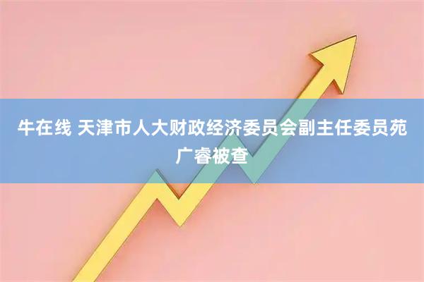 牛在线 天津市人大财政经济委员会副主任委员苑广睿被查